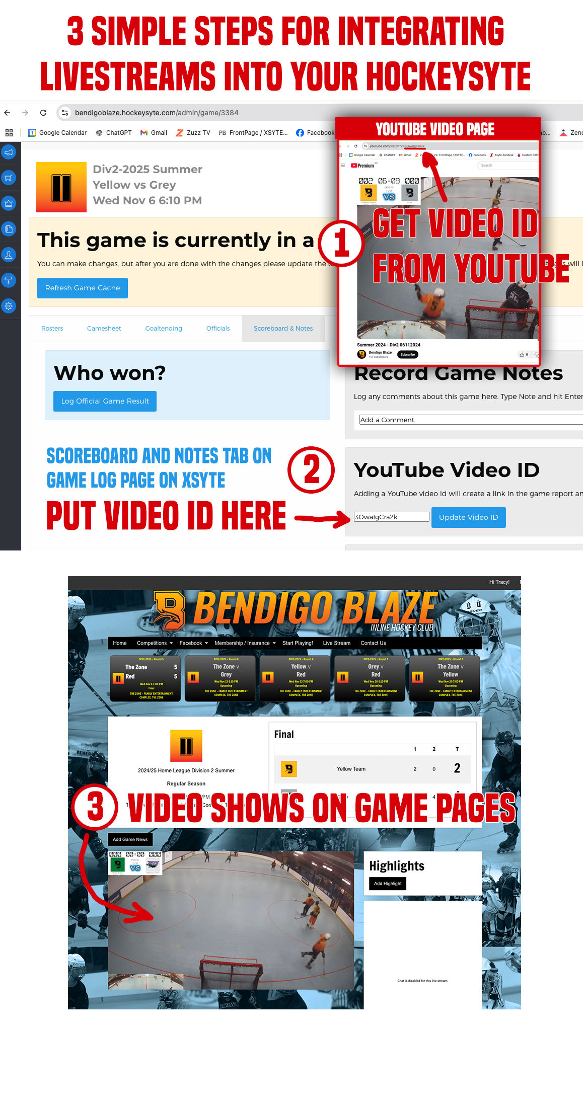 livestream_infographic.jpg